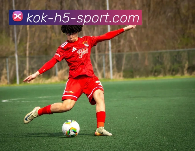 KOK体育平台生态图